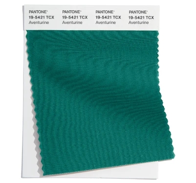 PANTONE 19-5421TCX